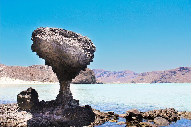 Explore La Paz and Paradise Beaches: Balandra and El Tecolote - Final thoughts: Is this tour worth it?