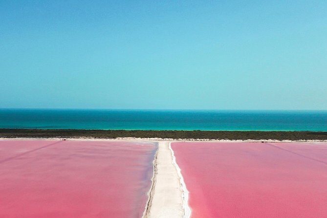 Explore Las Coloradas & Rio Lagartos from Riviera Maya - Good To Know  