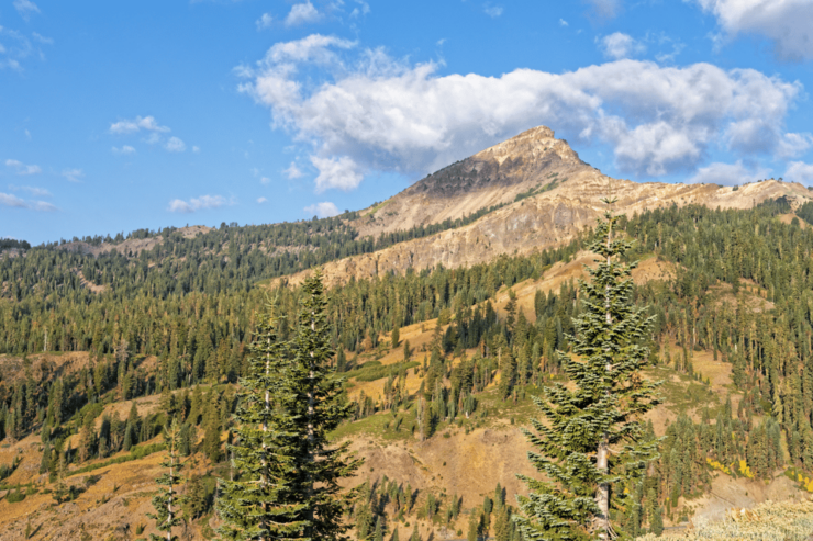 Explore Lassen Volcanic National Park: Driving Tour - Experience Highlights