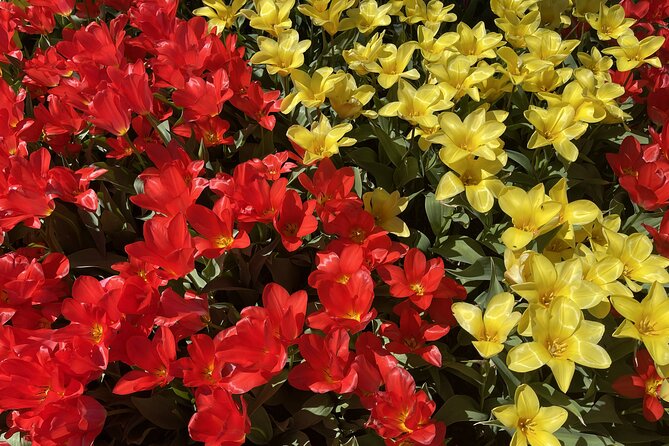 Explore Leavenworth From Seattle in a Small Group Tour - Additional Information