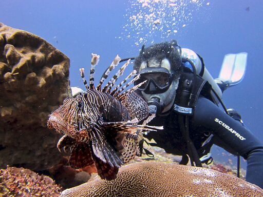 Explore Lomboks Marine Magic: Discover Scuba with PADI 5* Center - Who will get the most from this outing