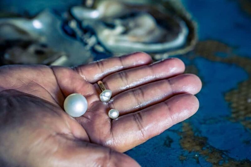 Explore Lomboks Pearl Farm & Pearl-Making Secrets - Good To Know