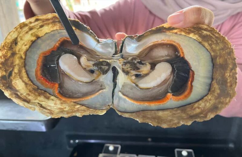 Explore Lomboks Pearl Farm & Pearl-Making Secrets - Good To Know