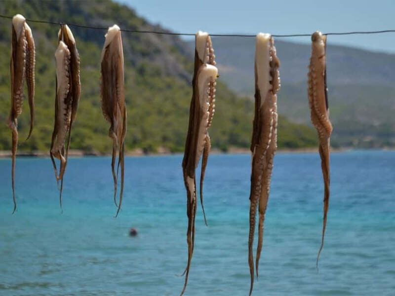 Explore Loutraki & Lake Vouliagmeni: Nature and Relaxation - The Breathtaking Melagkavi Cape & Lighthouse
