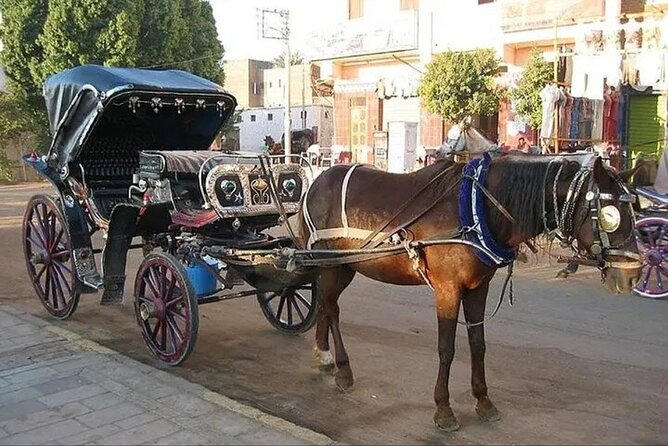 Explore Luxor With a Private 3-Hour Horse Carriage City Tour - Good To Know