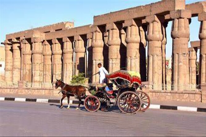 Explore Luxor With a Private 3-Hour Horse Carriage City Tour - Operator Information