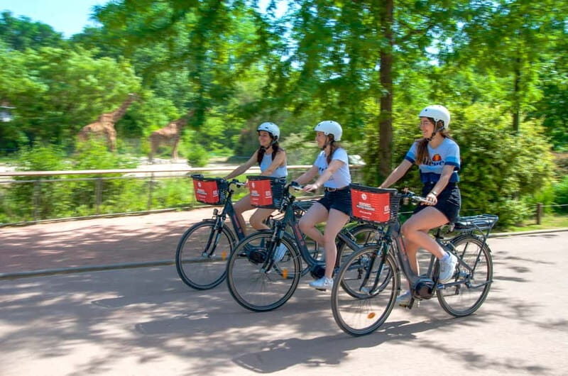 Explore Lyon and famous Tête d'Or Park by electric bike - Good To Know
