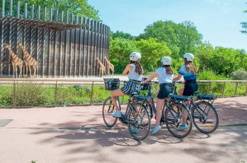 Explore Lyon and famous Tête d'Or Park by electric bike - Why Choose This Electric Bike Tour in Lyon?