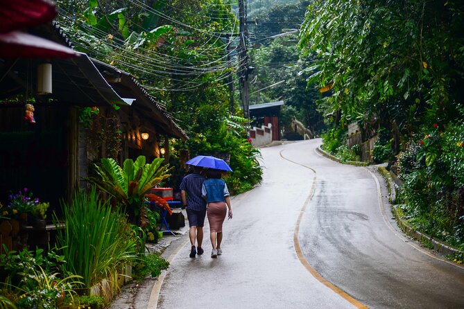 Explore Mae Kampong Village From Chiang Mai City - Activities in Mae Kampong Village