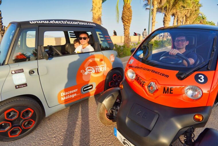 Explore Málaga and the Treasure Caves by Electric Car - Vehicle and Accessibility