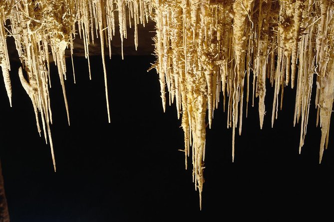 Explore Mallorca: Majorica Pearl Shop and Caves of Drach - Meeting and Pickup