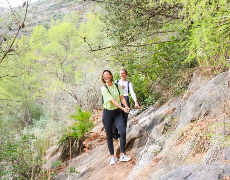 Explore Marbellas Nature: Guided Hiking And Foraging Trip - Pricing and Booking