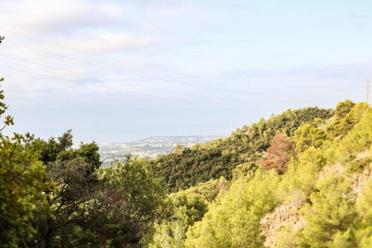 Explore Marbellas Nature: Guided Hiking And Foraging Trip - Health and Safety Considerations