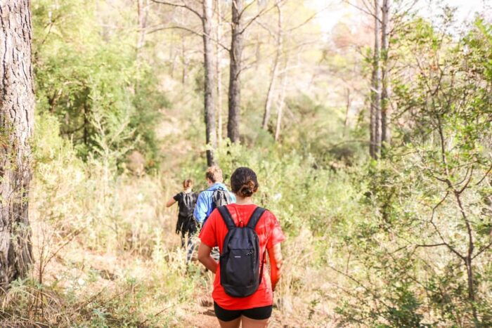 Explore Marbellas Nature: Guided Hiking And Foraging Trip - Exploring Marbellas Ancient Ruins