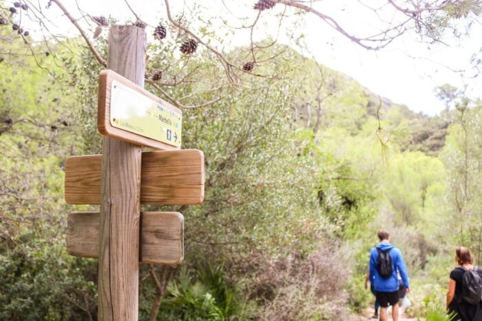 Explore Marbellas Nature: Guided Hiking And Foraging Trip - Foraging for Edible Herbs