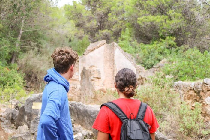 Explore Marbellas Nature: Guided Hiking And Foraging Trip - Scenic Picnic Amidst the Landscape