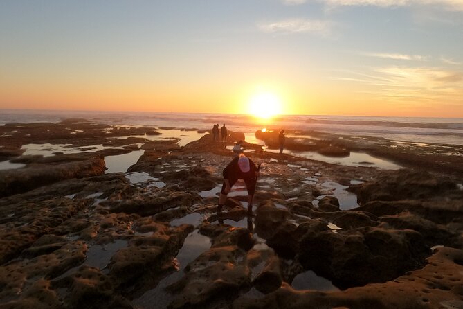 Explore Marine Life in San Diego Tide Pools (Family-friendly) - Meeting and Pickup Information