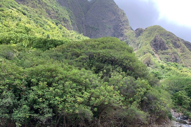 Explore Maui Private Tour - Practical Details and What to Expect