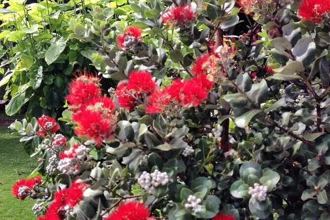 Explore Maui Private Tour - FAQ