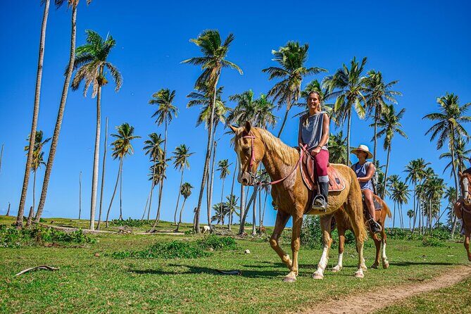 Explore Miches Horseback Riding 4x4 Beach Relaxation - An In-Depth Look at the Tour Experience