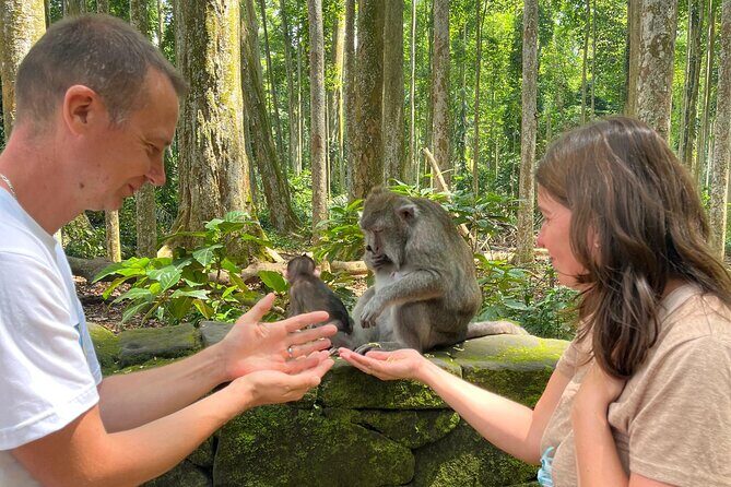 Explore Monkey Forest Ubud Rice Terrace Waterfall and more - The Authentic Touch: What’s Special About This Tour