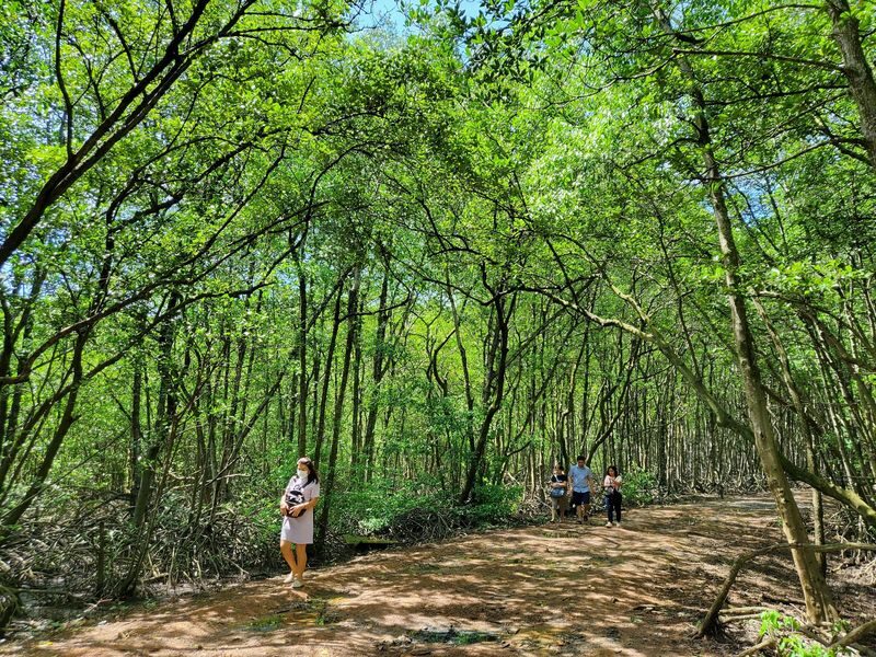 Explore Monkey Island - Can Gio Biosphere Reserve Day Tour - Leaving Ho Chi Minh City for Can Gio