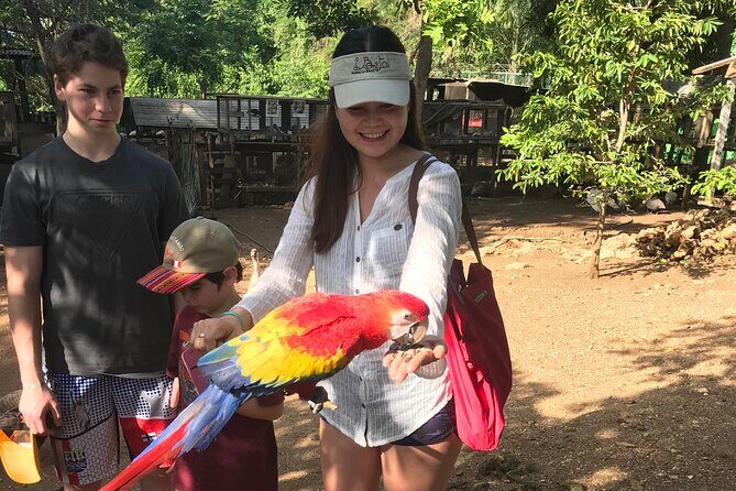 Explore Montego Bay to Exotic Birds and Herb Farm from MontegoBay - An In-Depth Look at the Montego Bay Exotic Birds and Herb Farm Tour