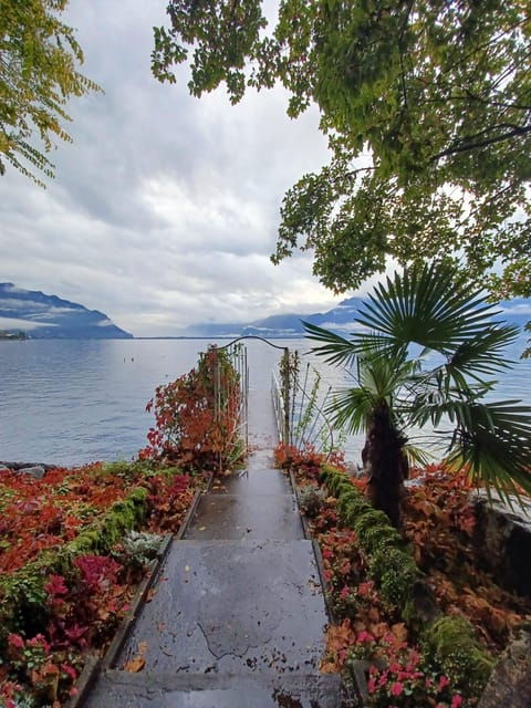 Explore Montreux in 90 Mins: From Lord Byron to Queen - Scenic Delights: Lake Geneva and the Alps