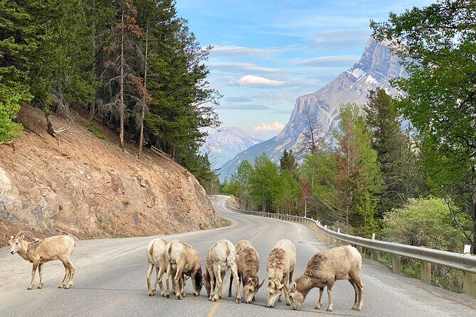 Explore Moraine Lake, Banff, Lake Louise & Minnewanka - Practical Tips for Your Day