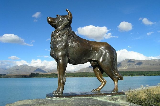 Explore Mount Cook From Christchurch - Tour Guide and Overall Experience