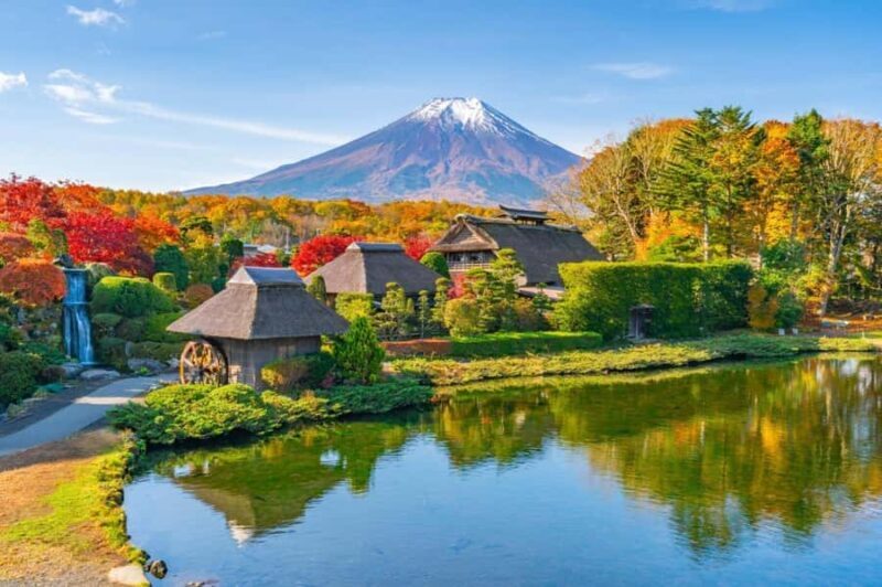Explore Mount Fuji: Private Tour with English Guide - Narusawa Ice Cave and Aokigahara Forest: Cool Mysteries