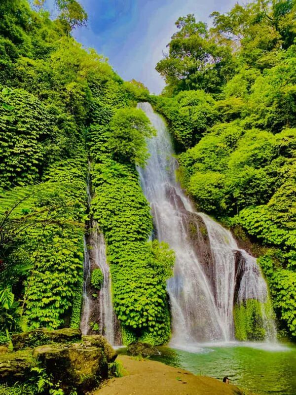 Explore Munduk Customized 8 Hours Day Tour In The North Bali - Good To Know