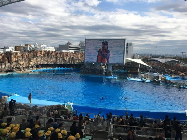 Explore Nagoya: Your Ultimate PRIVATE One-Day Adventure - Cancellation Policy and Pricing