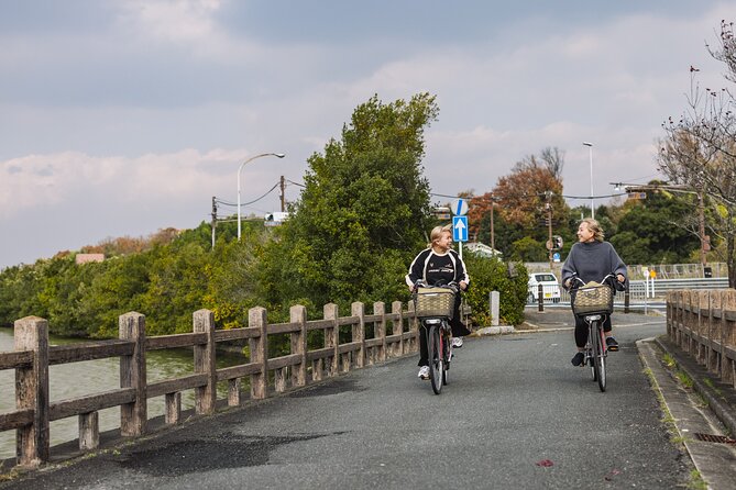 Explore Nara the Birthplace of the Country With E-Bike - E-Bike Experience