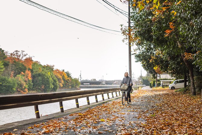 Explore Nara the Birthplace of the Country With E-Bike - The Sum Up