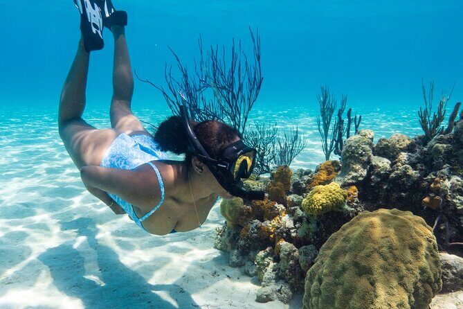 Explore Nassau's Best Spots with Snorkeling Tour - Good To Know