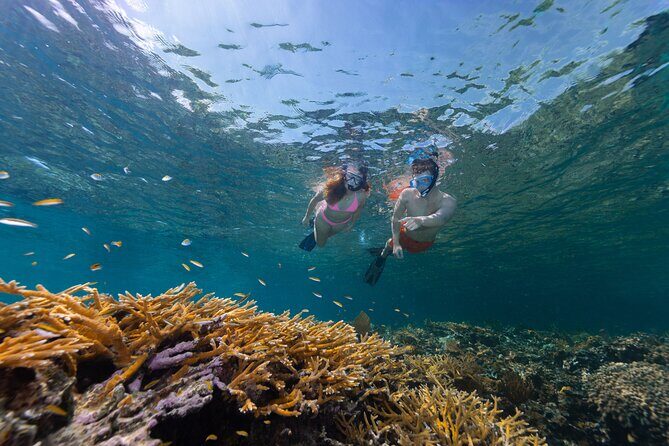 Explore Nassau's Best Spots with Snorkeling Tour - Practical Details and Booking Tips