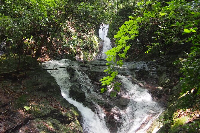 Explore Nature in Yoshino With E-Bike Tour - Tour Details