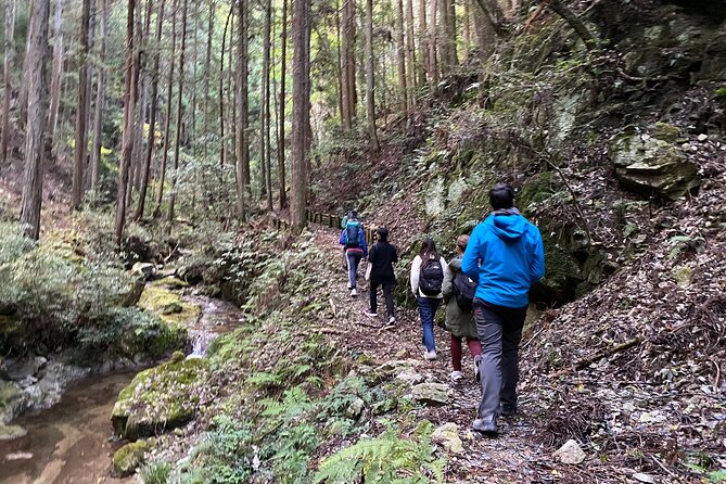Explore Nature in Yoshino With E-Bike Tour - Requirements and Recommendations