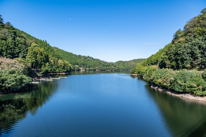 Explore Nature in Yoshino With E-Bike Tour - Cancellation Policy
