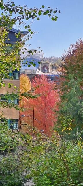 Explore Newcastle: 2 hour City Tours in Italian or English - The Sum Up