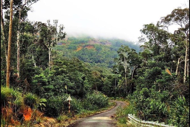 Explore Nha Trang Countryside Swimming at Secret Waterfalls - Swimming in the Hidden Gems