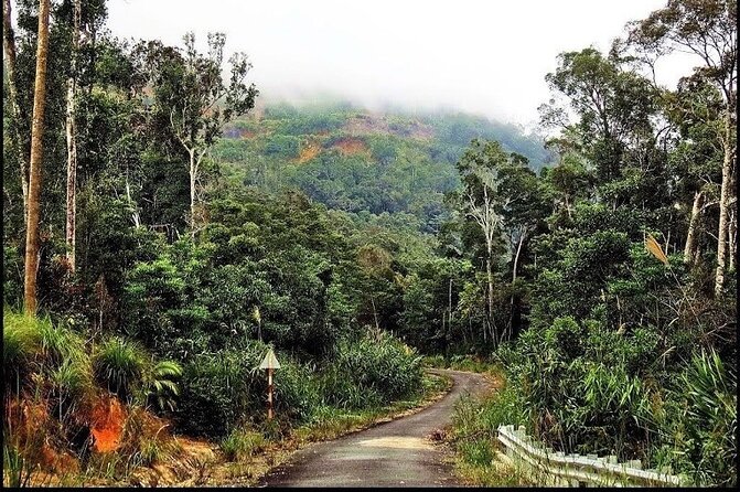 Explore Nha Trang Countryside Swimming at Secret Waterfalls - Enjoying the Countryside on Motorbikes