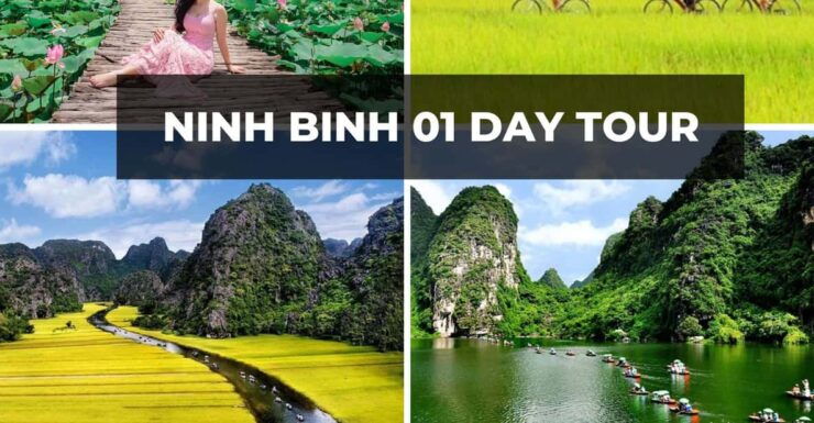 Explore Ninh Binh in 1 Day: Trang An, Mua Cave & Hoa Lu - Itinerary Highlights