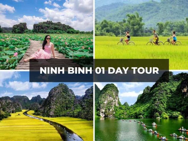 Explore Ninh Binh in 1 Day: Trang An, Mua Cave & Hoa Lu - Hoa Lu Historical Significance