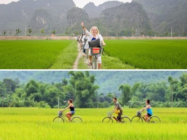 Explore Ninh Binh in 1 Day: Trang An, Mua Cave & Hoa Lu - Important Tour Information