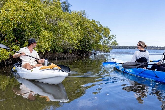 Explore Noosa by Kayak - Mangroves and Mansions - Additional Information