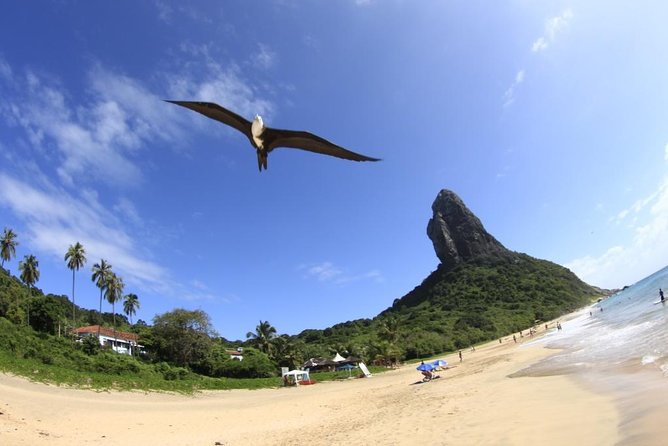 Explore Noronha's Stunning Emerald Trail - What to Pack