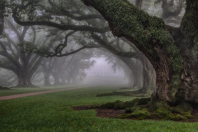 Explore Oak Alley Plantation Guided Tour With Transportation - Ticket Pricing and Inclusions
