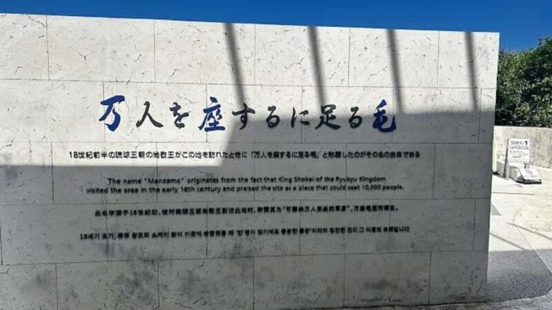 Explore Okinawa: Private Full-Day Tour with Driver - Good To Know